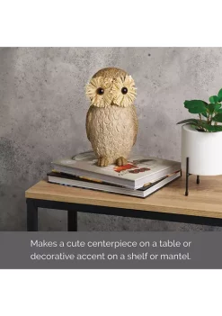 Bazaar Elements Resin Owl Figurine -Bazaar stoe Belk 196