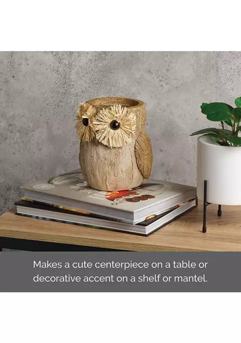 Bazaar Elements Resin Owl Figurine 7 Bazaar Elements Resin Owl Figurine - Image 5