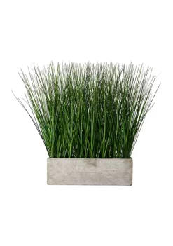 Bazaar Rectangular Grass Décor -Bazaar stoe Belk 219