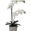 Bazaar White Orchard & Decorative Pot -Bazaar stoe Belk 222