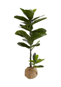 Bazaar 43 Inch Fiddlehead -Bazaar stoe Belk 234