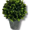Bazaar Elements 10 Inch UV Artificial Boxwood Orb Greenery -Bazaar stoe Belk 235