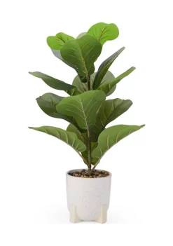 Bazaar Elements Plastic Fig in Ceramic Pot