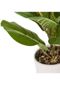 Bazaar Elements Plastic Fig in Ceramic Pot -Bazaar stoe Belk 292