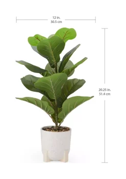 Bazaar Elements Plastic Fig in Ceramic Pot -Bazaar stoe Belk 294