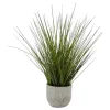 Bazaar Potted Grass Décor -Bazaar stoe Belk 303