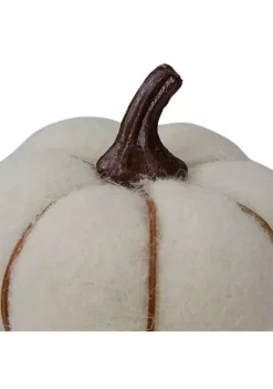 Gordon Companies 5 inch Cream and Brown Fall Harvest Tabletop Pumpkin -Bazaar stoe Belk 357