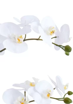 Bazaar 22'' White Orchid Faux Greenery -Bazaar stoe Belk 40