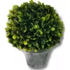 Bazaar Elements 13 Inch UV Artificial Boxwood Orb Greenery -Bazaar stoe Belk 66